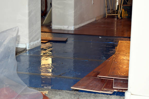 Professional Water Damage Repair technician working in Purdon, TX